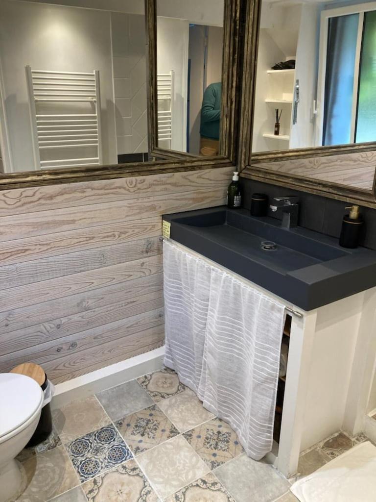 La Berge Du Clain - Joli Appartement A ポアティエ エクステリア 写真